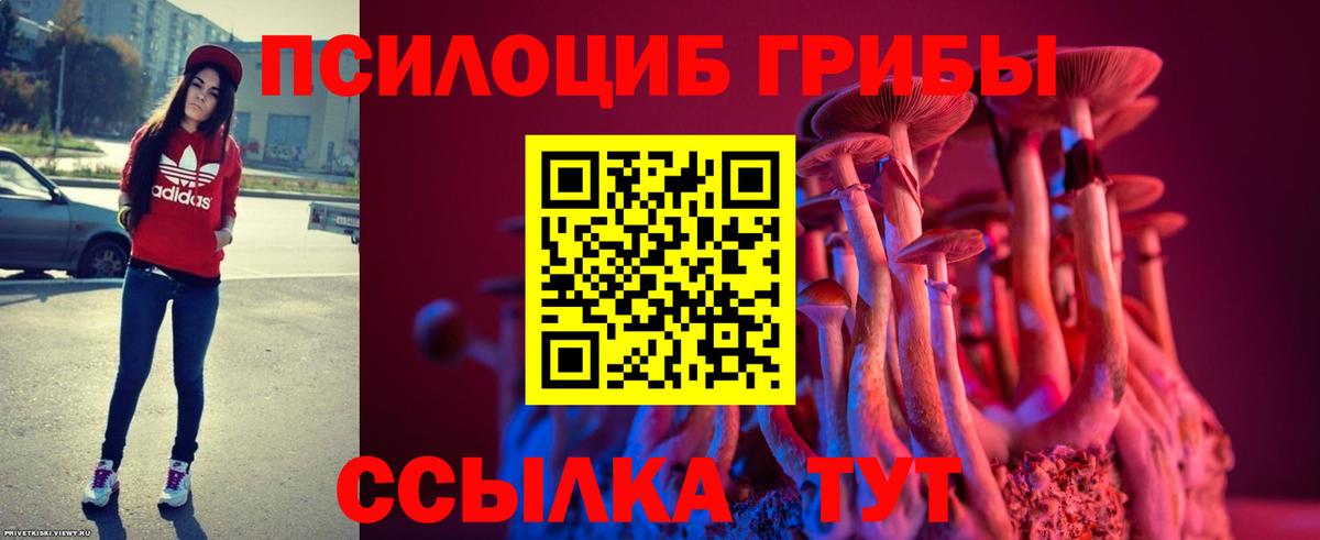 Галлюциногенные грибы прущие грибы Советск