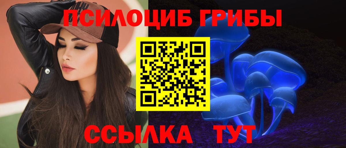 Псилоцибиновые грибы Psilocybe  Вход с VPN  Советск  Галлюциногенные грибы Psilocybine cubensis 